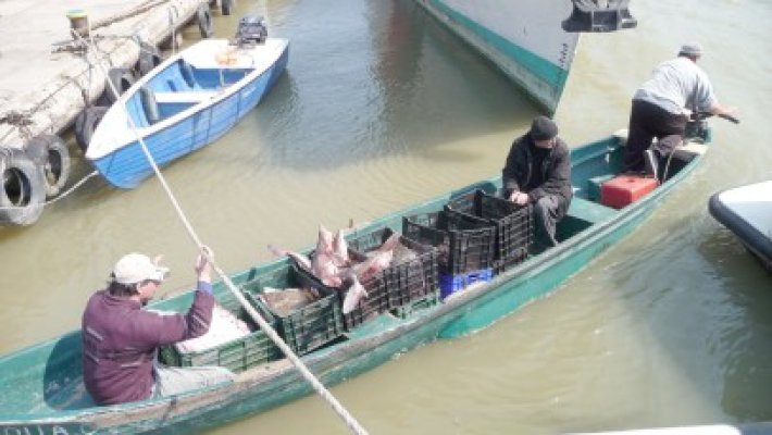 Braconierii ucraineni reţinuţi în apele României, primul caz după 10 ani